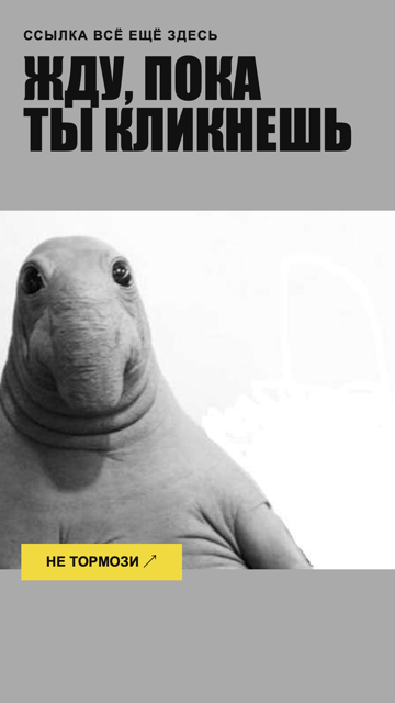Ждун